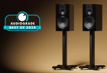Первое место в рейтинге полочников года: Monitor Audio Gold 100 6G